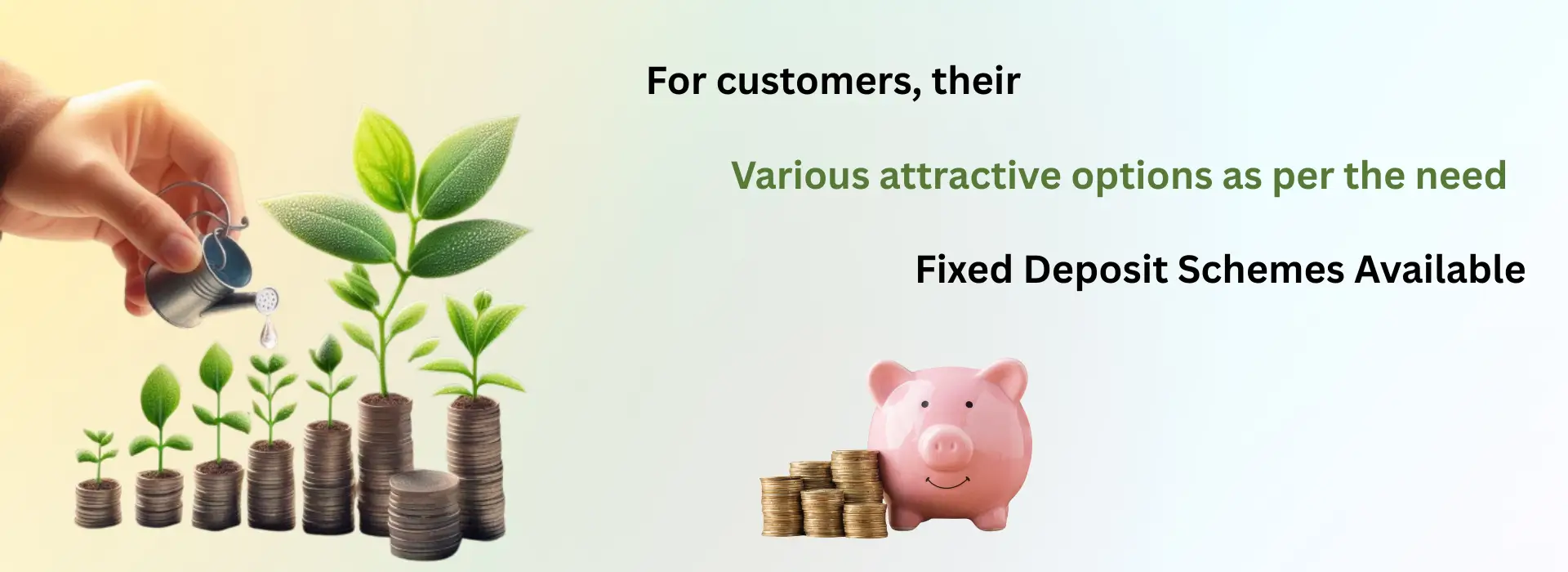 Fixed Deposit Schemes Available